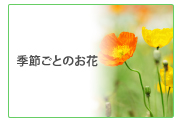 季節ごとのお花